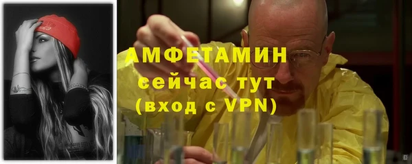 гидра Аркадак
