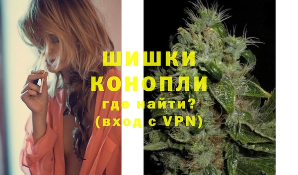 гидра Аркадак