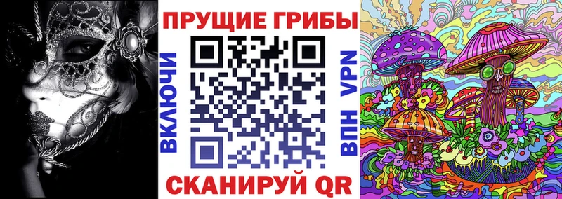 ОМГ ОМГ рабочий сайт  Чернушка  Галлюциногенные грибы прущие грибы 