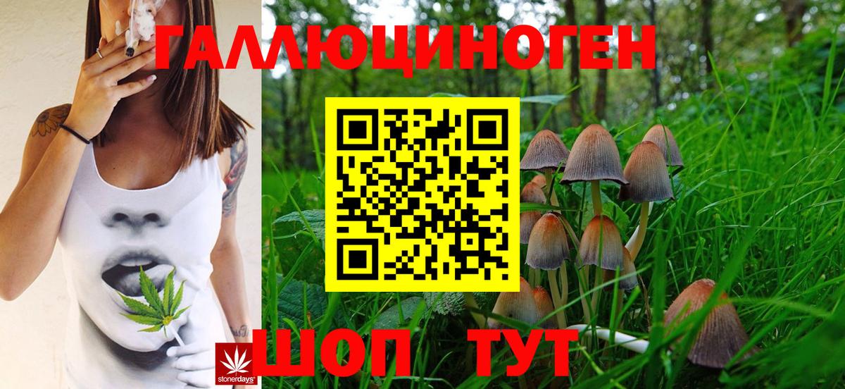 Галлюциногенные грибы GOLDEN TEACHER  Галлюциногенные грибы Psilocybe  Чернушка  Вход с VPN 