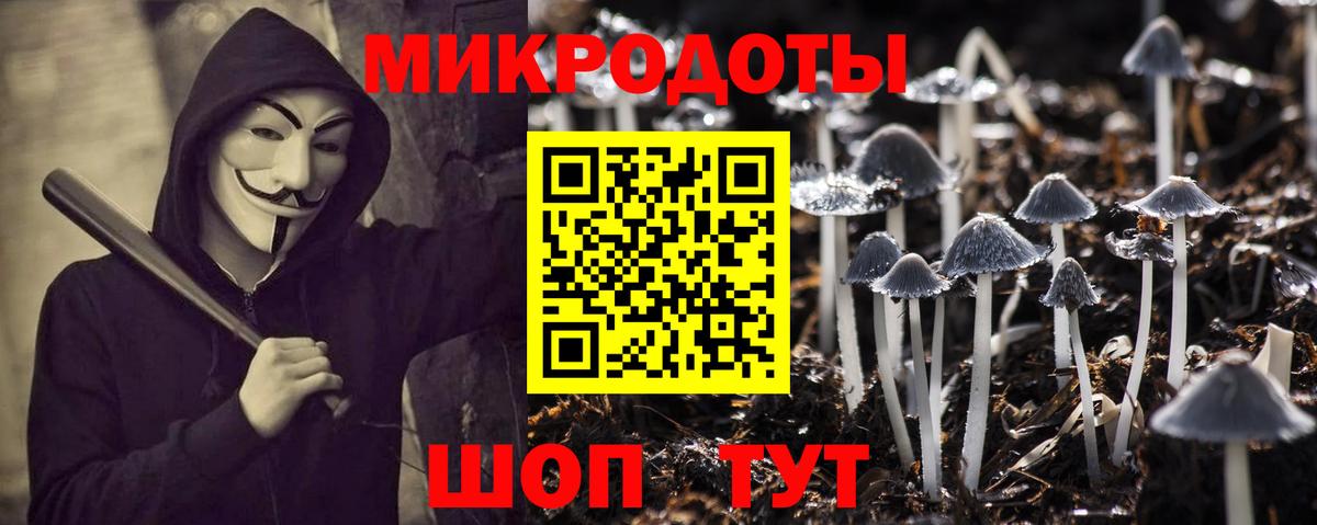 Псилоцибиновые грибы Cubensis Чернушка